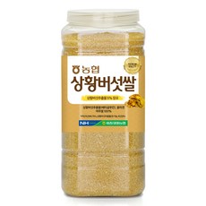 [농협] [정품] 하나로라이스 국산 상황버섯쌀 (2025년 햅쌀), 1개, 2.2kg