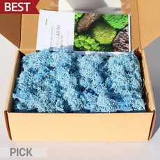 [블루스카이 모스] 0719 200g 스텔라 모스이끼 식물 인테리어 원예 소품 픽앤코401