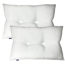 프렌치메종 에어로쿨 마이크로화이버 베개솜 50x70 1+1, 2개