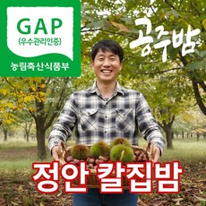 더맛곳간 국산 공주 정안 햇 생 밤 국내산 알밤 군밤용 칼집 대, 1개, 2kg