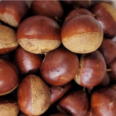 국내산 부여 공주 밤 햇밤 왕밤 알밤 대, 1개, 1kg