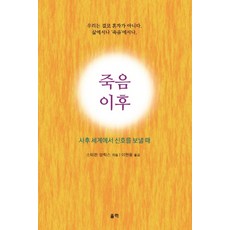 Ulryeok 死亡之後：當死者從彼世發出訊號時, 史蒂芬·阿里克斯
