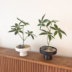 하이오브제 생화같은 파키라 나무 조화 화분, 1개, 매트팟 파키라 (화이트)