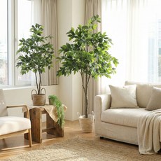 인테리어 조화 나무 조경 사무실 플랜테리어 휘커스 벤자민, 1개, 그린130