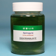학교실습용 과학실험 나선형엽록체관찰 해캄 100ml 1병 모종심기 어린이집, 1개