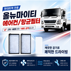 대성부품/올뉴마이티 향균필터/항균/에어컨/휠터/순정/모비스/마이티/필터/필타/향균필터/향균휠터/화물차/대형트럭/캐빈정전/공기여과/실내공기/2.5톤/3.5톤/마이티 신형/에어콘, 올뉴마이티 향균필터(일반)1조, 1개