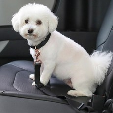 치즈펫 강아지 고양이 전용 안전벨트, 1개, 블랙