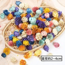彩色落葉松果串/落葉松果/落葉金松果/落葉松/拍照道具/乾燥花配件/乾燥花花材/乾燥花材/聖誕花材/松果/聖誕花圈材料, 1個, ❰彩色❱中落葉松果(1份10顆)顏色隨機, 彩色