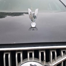 金屬飛鷹立標車頭裝飾，個性改裝車標，多款車型適用，引擎蓋立體車標, 1個, 通用車標銀色