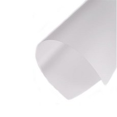 짱이싸인 제본용 PVC 반투명표지 0.2mm A4 25매 포트폴리오표지