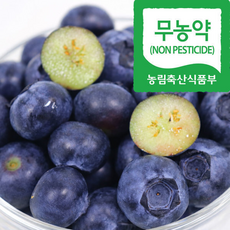 호태 블루(14mm) 100g 실중량, 1개