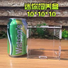 限時下殺—爬蟲飼養盒寵物箱透明亞克力蜘蛛守宮角蛙甲蟲蠍子造景爬寵防逃逸, 1個, 10*10*10磁吸門▎◘ ✈✌•