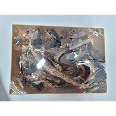 2025 강원도 오대산 강릉 건능이 버섯, 1개, 60g 건능이