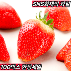 [유통마진제로] 수출대란 오늘수확 킹스베리 국내산 설향 딸기 논산 산지직송, 1세트, 400g (왕특)