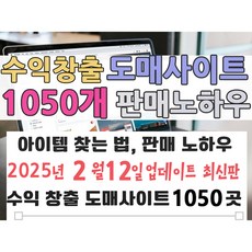순수익 2억 벌게한 도매사이트 소개와 판매노하우 (빠른 발송 + PDF 전자책), 서비스타입 A