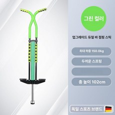 점핑 점프스틱 스프링점핑봉 성인용 더블 바, 1개, 그린
