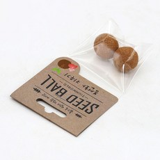 씨드볼 봉선화 식물 키우기 어린이집 씨앗 심기