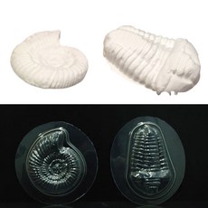 석고로 고생물 화석만들기용 모형틀 5개 과학교실 자연과학 지구과학 학습완구 과학, 2)삼엽충 5개