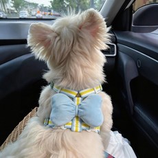 Coablu 강아지 리본 하네스 베스트 타입 앞섬방지 리드줄 세트 소형견 가슴줄, 1개, 블루