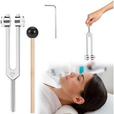 프로펠리파이 128Hz 힐링 악기 아라노비아 - 튜닝 포크 차크라 사운드 테라피 명상에 완벽 이상적인 선물, 256c