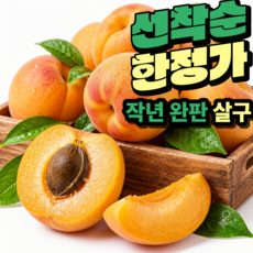 [초특가] 고당도 한정수량 햇 살구, 1개, 5kg