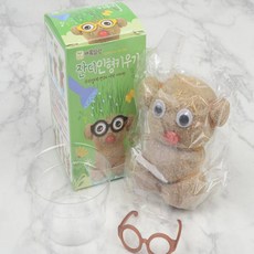 가온데이즈 잔디 인형 키우기 잔디인형만들기