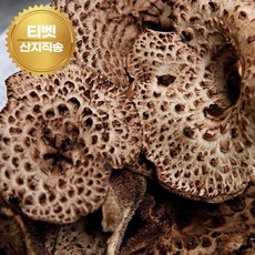 [산지직송] 고산지대에서 자란 자연산 A급 티벳 급냉 능이버섯, 1개, 2kg
