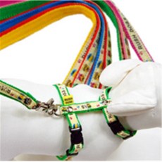 셀렉토리 칼라 X반도셋트 (10mm) 강아지하네스세트