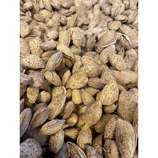 帶殼熟成鹹味杏仁果 600g, 1個, 600g/1斤