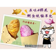 寵愛生活本舖 仿真鯛魚燒貓草包 原味 櫻花 貓草玩具 貓薄荷 抱枕 貓咪絨毛玩具, 1個, 原味鯛魚燒,小號20CM（無拉鍊）