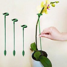 세우기 원형 텃밭 식물 지주대 지지대 실내 가정용 줄기 화분 난초 고리 홀더, 1개, 소형(17cm)