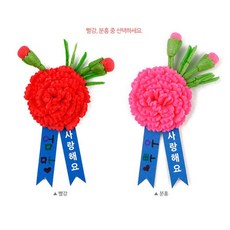 (PL) 플레이콘 카네이션브로치만들기