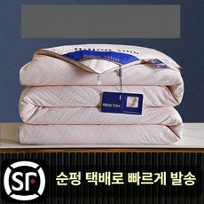 실크 명주솜 안방 이불 수면 솜 부드러운 포근한 사계절 팬션 중력 봄가을 퀸사이즈, 뉴 제이드