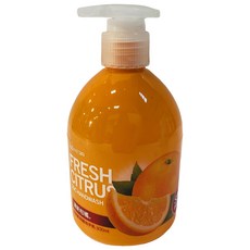 AGAINST24 抗菌洗手乳 清新柑橘, 1入, 300ml