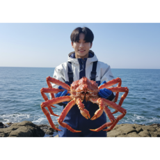 [당일출고] 완이네 러시아 수율보장 프리미엄 최상급 블루킹크랩 자숙 2키로 활킹크랩 품질보증 2.2kg 2.8kg 4kg, 1개, 킹크랩 2.2kg