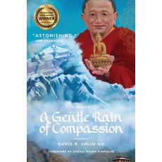 (영문도서) A Gentle Rain of Compassion Paperback, Di Angelo Publications, English, 9781955690331