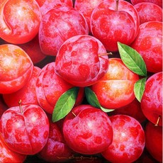 자두 - 풍요 이창효, 1개