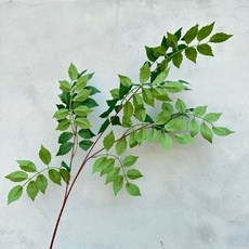 綠色系仿真植物 婚禮佈置 清新居家擺飾 婚禮攝影道具, 1個, 凌霄葉