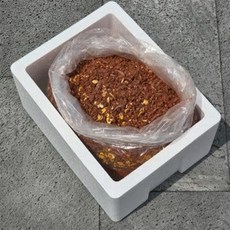 도원피싱 감성돔 숙성밑밥 8Kg 비닐포장 크릴 감성돔 카고낚시, 1개