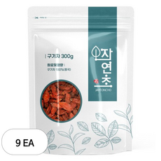구기자, 300g, 9개