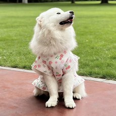 DFMEI 大狗衣服寵物背心裙子春夏薄款金毛犬薩摩耶拉布拉多邊牧防曬衣服, 1個, 可愛小花背心