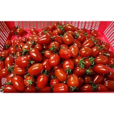 [시골사위] 당일발송 신선한 대추방울토마토 1~3번과, 1개, 1kg