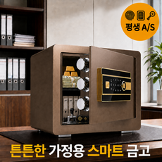가정용 지문인식 소형 금고 스마트 비밀번호 보안금고 3중보안 미니금고, 30cm 럭셔리 브라운골드