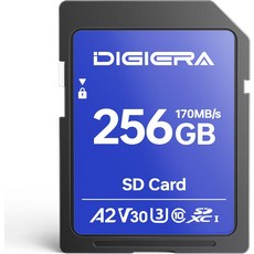 디지에라 128GB CS100 SDXC UHS-I 메모리 카드 - 최대 100MBs C10 U3 V30 4K UHD 컴퓨터용 SD 디지털 카메라 홈 시어터 장치 자동차 내비게이션, 256GB, LS100 (170MB/s)