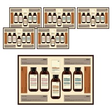 LG생활건강 프리미엄 모던에디션 에센셜 선물세트 + 쇼핑백, 6세트