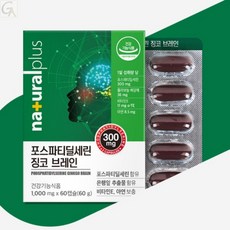 기억력 인지력개선 영양제 혈행개선 노화된뇌 징코 영양성분 두뇌집중력 건망증