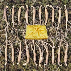 아리아리산삼 6년근 8년근 10년근 산삼 산양삼 장뇌삼 산양산삼 장뇌 자연산 주 설 추석 선물세트, 1개, 6년근 20뿌리