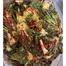 전라도 엄니손맛 은금채 봄동 겉절이 김치(목포 가정식수제김치), 1kg, 1개