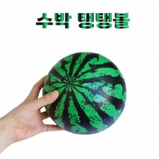축제 학예회 고급 수박 탱탱 볼 소프트 공 놀이 피구 발리 에어 체육 운동회 발 야구 유아 아동 장기자랑 파티 개인기 소품