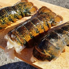 [완판특가] 랍스터테일 캐나다 랍스타 꼬리 바다가재, 1개, 랍스터 테일 3미